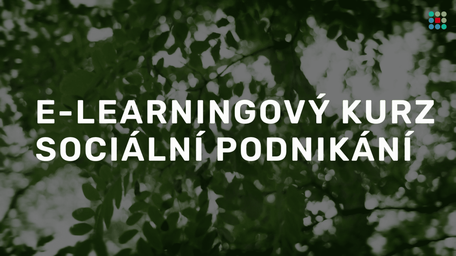 Úvod do sociálního podnikání